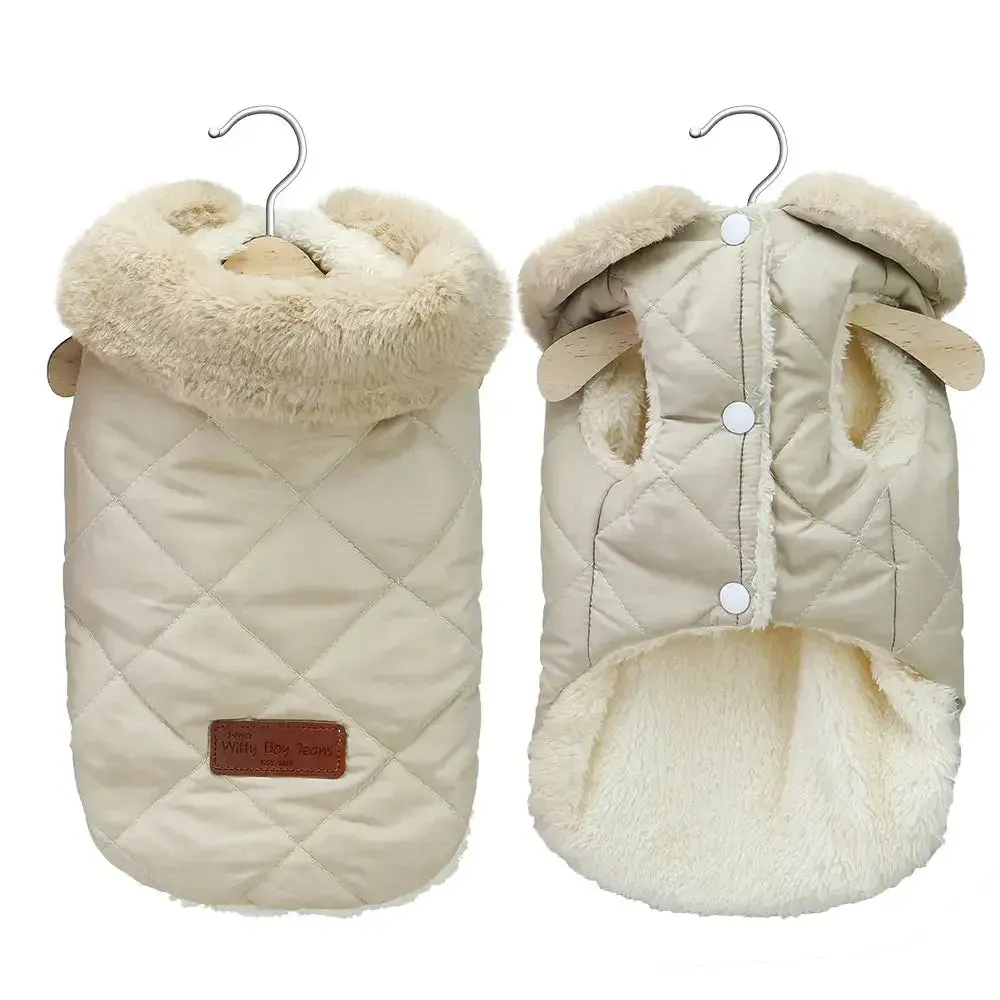 Little dog coats