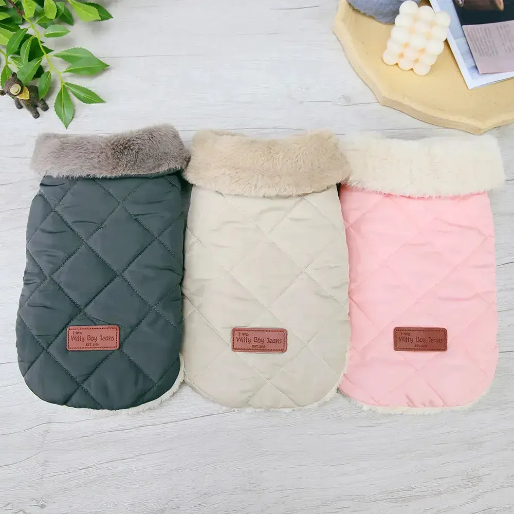 Little dog coats
