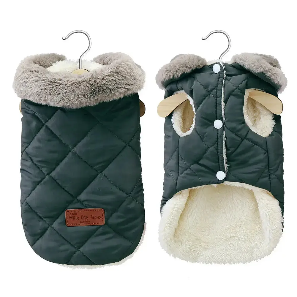Little dog coats
