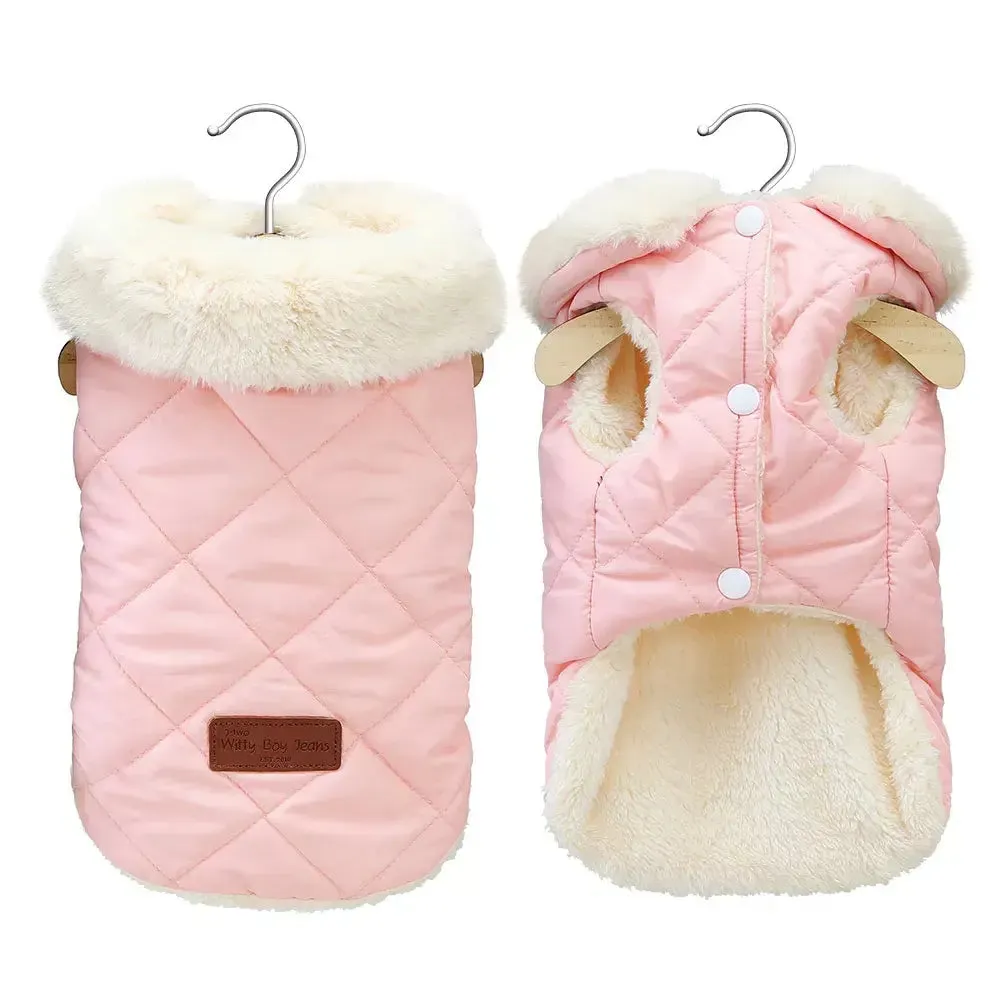 Little dog coats